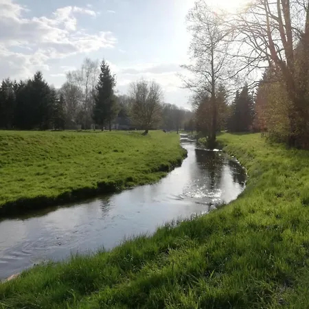 At The Knappensee In Gross Saerchen