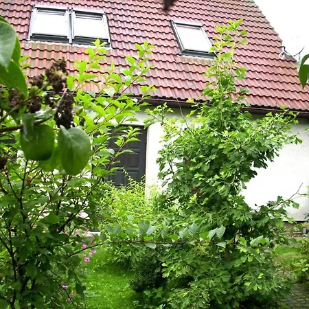 At The Knappensee In Gross Saerchen * Neufriedersdorf