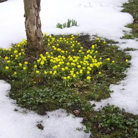 At The Knappensee In Gross Saerchen *