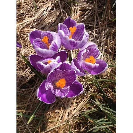 At The Knappensee In Gross Saerchen * Neufriedersdorf