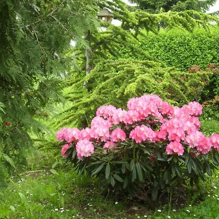 Appartement At The Knappensee In Gross Saerchen