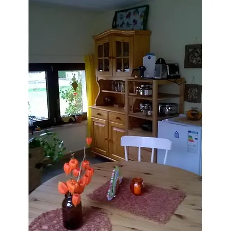 At The Knappensee In Gross Saerchen Appartement Neufriedersdorf