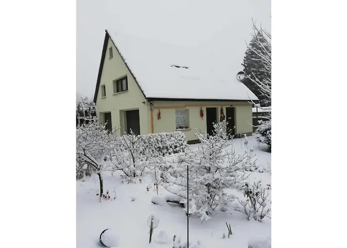 At The Knappensee In Gross Saerchen Neufriedersdorf