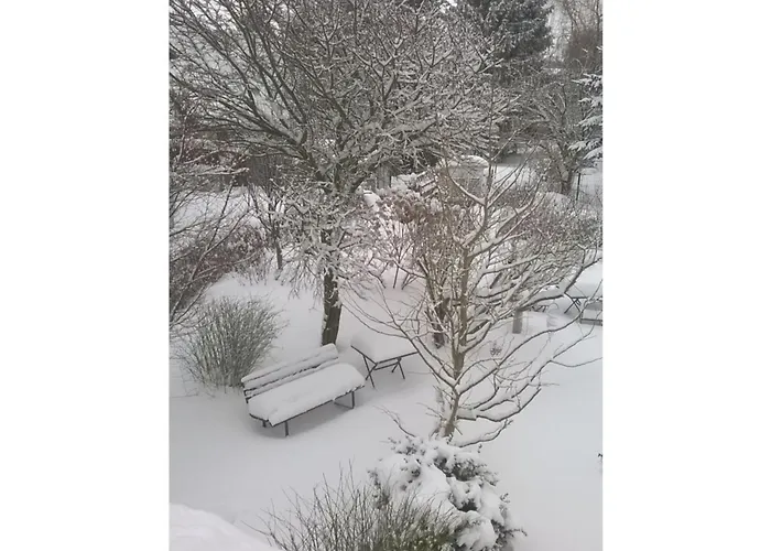 At The Knappensee In Gross Saerchen * Neufriedersdorf