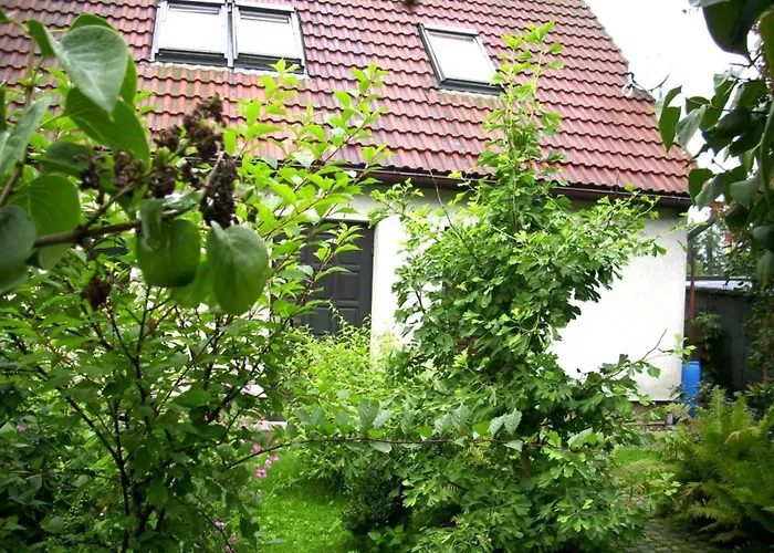 At The Knappensee In Gross Saerchen * Neufriedersdorf