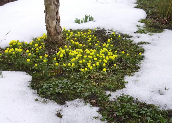 At The Knappensee In Gross Saerchen *
