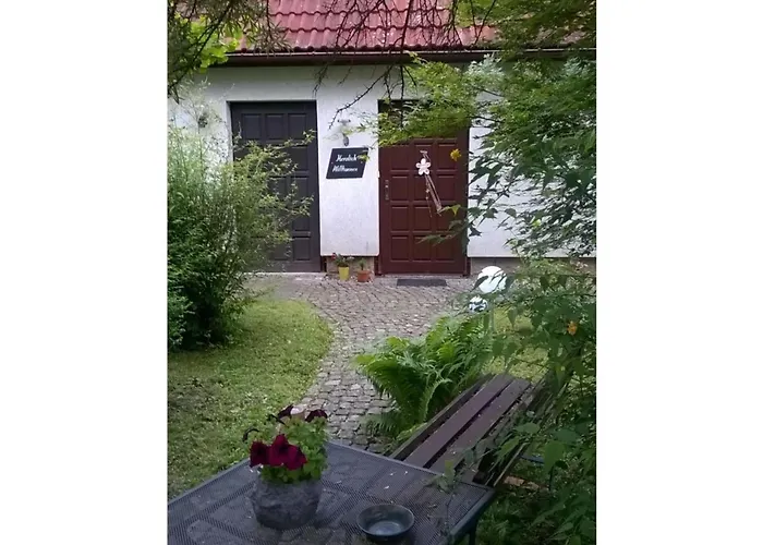 At The Knappensee In Gross Saerchen Neufriedersdorf