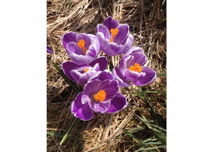 At The Knappensee In Gross Saerchen * Neufriedersdorf