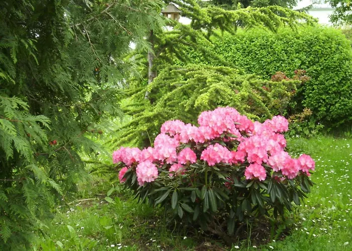 Appartamento At The Knappensee In Gross Saerchen